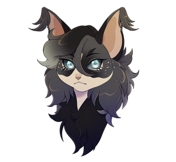 Headshot for Luna-Firefly (gift)